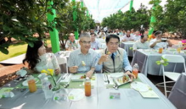 麻豆红,揭秘时尚界的璀璨新星